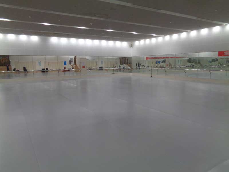 舞蹈室地板 舞蹈室地板企業應該“看人上菜”