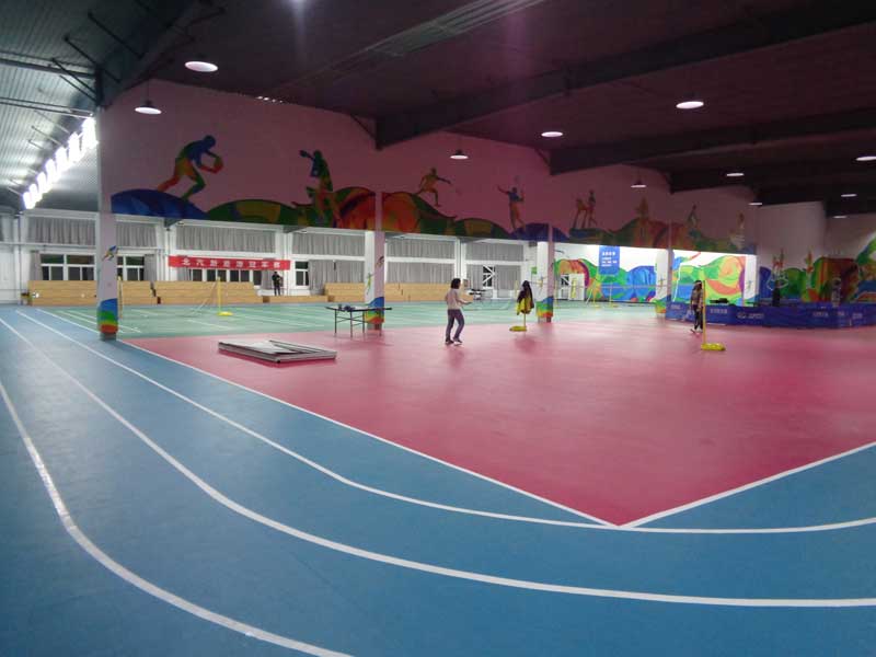 北京大興區北汽新能源運動地板