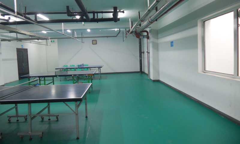 北京市豐臺區乒乓球地膠